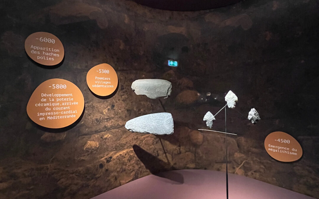 Allestimenti museali su misura per il sito archeologico di Aléria, Corsica